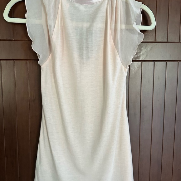 Express Light Pink Ruffle Blouse - Picture 7 of 10